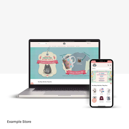 OPTIMISED SHOPIFY STORE